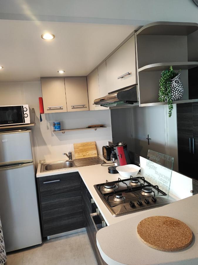 Mobilhome 741 Les Charmettes,3Ch,2Sdb,Lave Linge,Lave Vaisselle,Clim,2Wc Les Mathes Luaran gambar